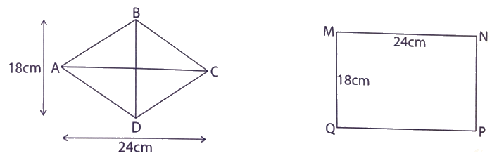Giải phần B. Kết nối trang 28 Bài tập phát triển năng lực Toán 4 tập 2 6