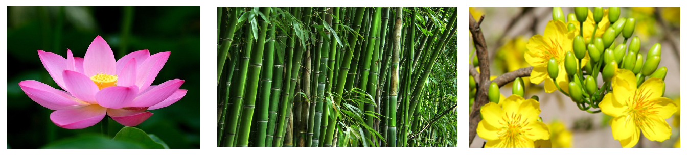 Giải phần C. Vận dụng, phát triển trang 14 Bài tập phát triển năng lực Toán 4 tập 2 1 1