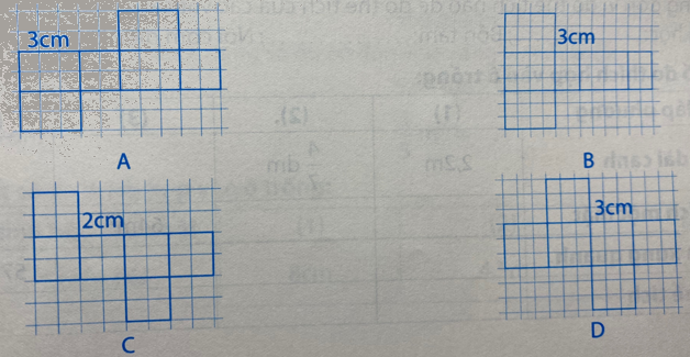 Giải phần C. Vận dụng phát triển trang 18 Bài tập phát triển năng lực Toán 5 1