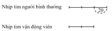 Giải phần C. Vận dụng phát triển trang 39 Bài tập phát triển năng lực Toán 4 tập 2 0 1