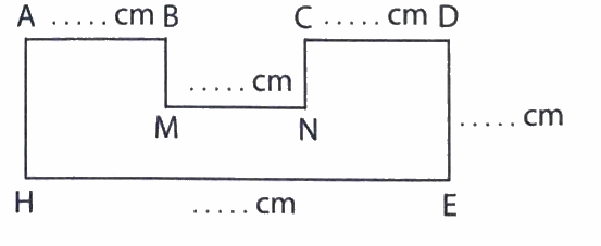 Giải phần C. Vận dụng, phát triển trang 43 Bài tập phát triển năng lực Toán 4 2