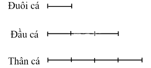 Giải phần C. Vận dụng, phát triển trang 62 Bài tập phát triển năng lực toán 4 tập 2 2