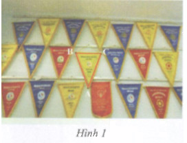 Hoạt động 1 trang 160 Tài liệu dạy – học Toán 7 tập 1 1