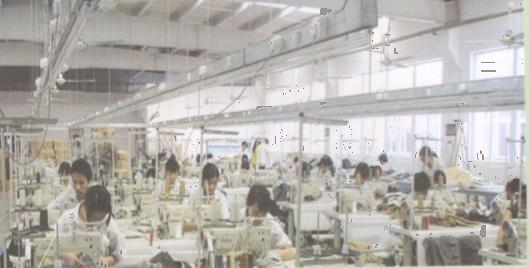 Hoạt động 1 trang 32 Tài liệu dạy – học Toán 7 tập 2 1