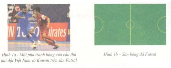 Hoạt động 1 trang 88 Tài liệu dạy – học toán 6 tập 2 : 1