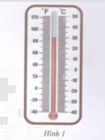 Hoạt động 1 trang 97 Tài liệu dạy – học toán 6 tập 1 1