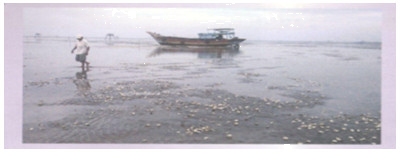 Hoạt động 13 trang 67 Tài liệu dạy – học toán 6 tập 2 1