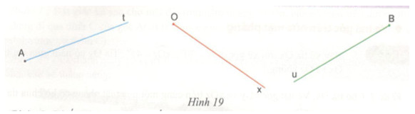 Hoạt động 14 trang 97 Tài liệu dạy – học toán 6 tập 2 1