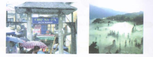 Hoạt động 2 trang 113 Tài liệu dạy – học toán 6 tập 1 1