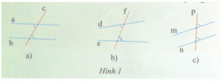 Hoạt động 2 trang 121 Tài liệu dạy – học Toán 7 tập 1 1