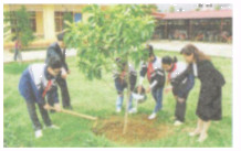 Hoạt động 2 trang 60 Tài liệu dạy – học Toán 7 tập 1 1