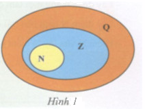 Hoạt động 3 trang 11 Tài liệu dạy – học Toán 7 tập 1 1