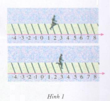 Hoạt động 3 trang 113 Tài liệu dạy – học toán 6 tập 1 1