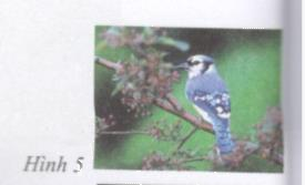 Hoạt động 3 trang 12 Tài liệu dạy – học toán 6 tập 1 1