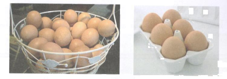 Hoạt động 4 trang 41 Tài liệu dạy – học toán 6 tập 1 1