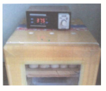 Hoạt động 4 trang 83 Tài liệu dạy – học Toán 7 tập 1 1