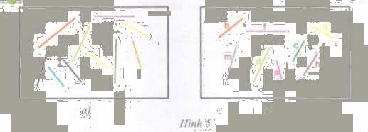 Hoạt động 5 trang 153 Tài liệu dạy – học toán 6 tập 1 1