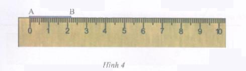 Hoạt động 5 trang 170 Tài liệu dạy – học toán 6 tập 1 1