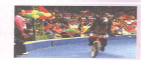 Hoạt động 6 trang 62 Tài liệu dạy – học toán 6 tập 2 1