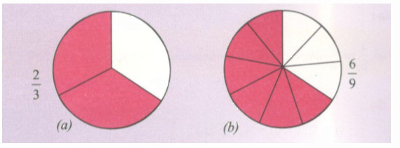 Hoạt động 7 trang 14 Tài liệu dạy – học toán 6 tập 2 1