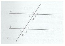 Hoạt động 8 trang 112 Tài liệu dạy – học Toán 7 tập 1 2