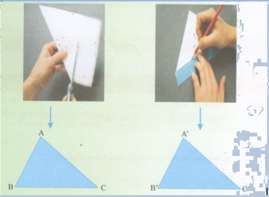 Hoạt động 8 trang 140 Tài liệu dạy – học Toán 7 tập 1 1
