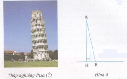 Hoạt động 8 trang 89 Tài liệu dạy – học Toán 7 tập 2 1