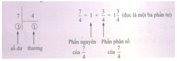 Hoạt động 9 trang 50 Tài liệu dạy – học toán 6 tập 2 3