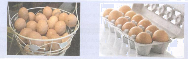 Hoạt động 9 trang 69 Tài liệu dạy – học toán 6 tập 1 1