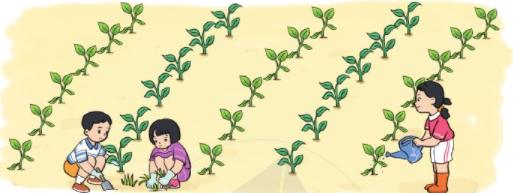 Luyện tập chung 4 1