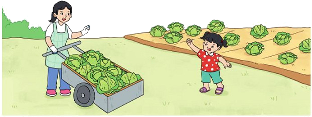 Luyện tập (tiếp theo) 5 1