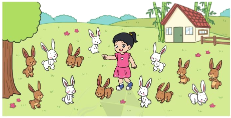 Luyện tập (trang 22) 3 1