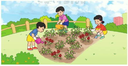 Luyện tập (trang 44, 45) 11