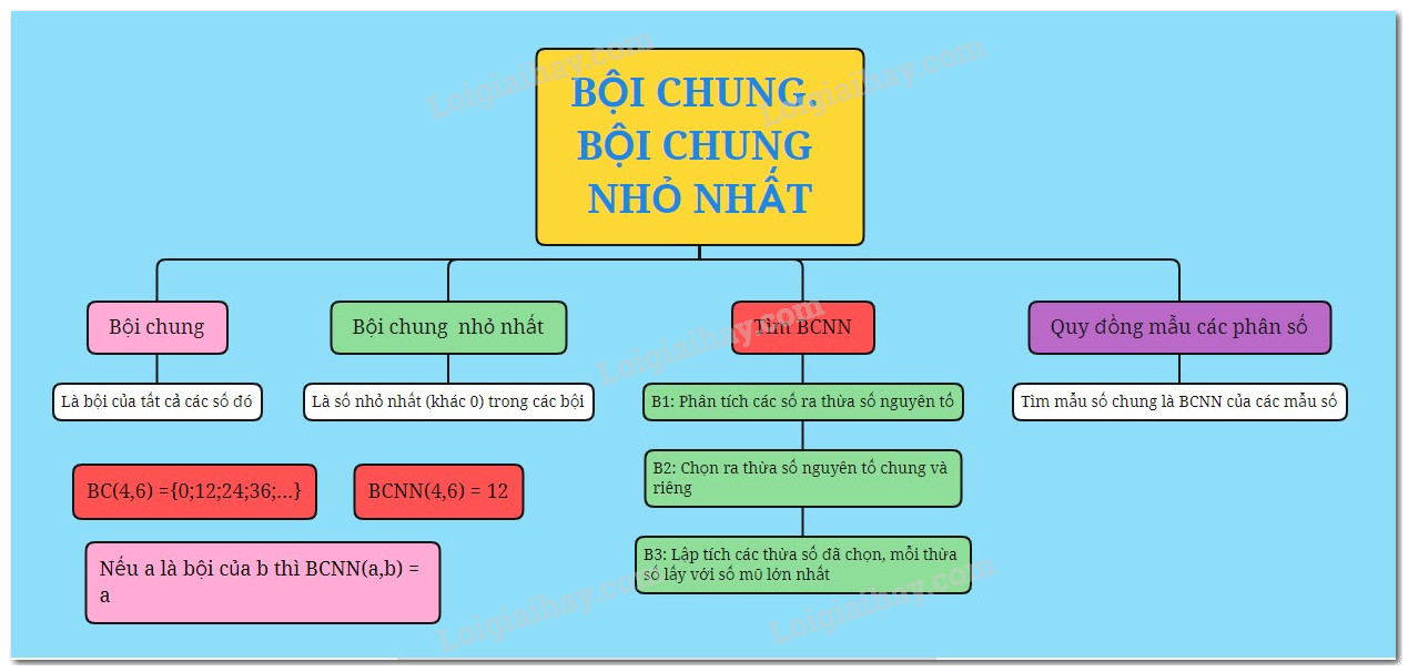 Lý thuyết Bội chung. Bội chung nhỏ nhất Toán 6 KNTT với cuộc sống 1