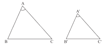 Lý thuyết Các trường hợp đồng dạng của hai tam giác SGK Toán 8 - Chân trời sáng tạo 2