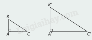 Lý thuyết Các trường hợp đồng dạng của hai tam giác vuông SGK Toán 8 - Cùng khám phá 2