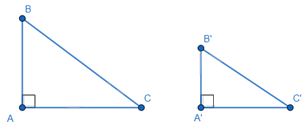 Lý thuyết Các trường hợp đồng dạng của hai tam giác vuông SGK Toán 8 - Kết nối tri thức 2