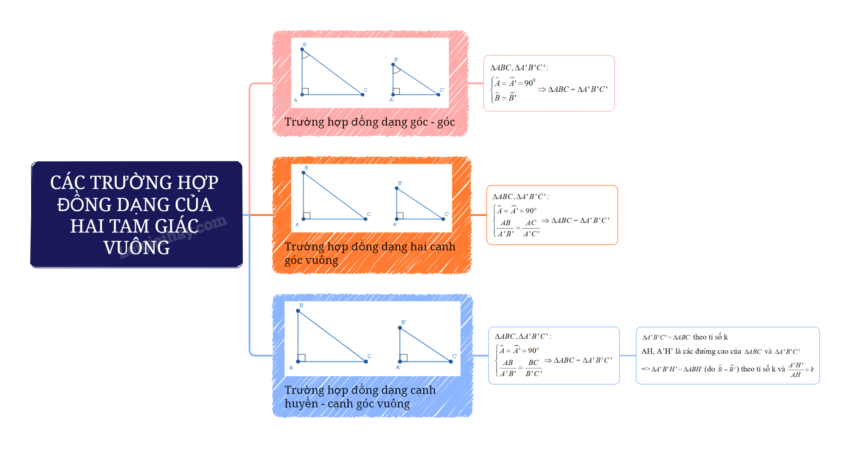 Lý thuyết Các trường hợp đồng dạng của hai tam giác vuông SGK Toán 8 - Kết nối tri thức 4