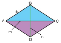 Lý thuyết Chu vi và diện tích của một số hình trong thực tiễn Toán 6 Chân trời sáng tạo 6