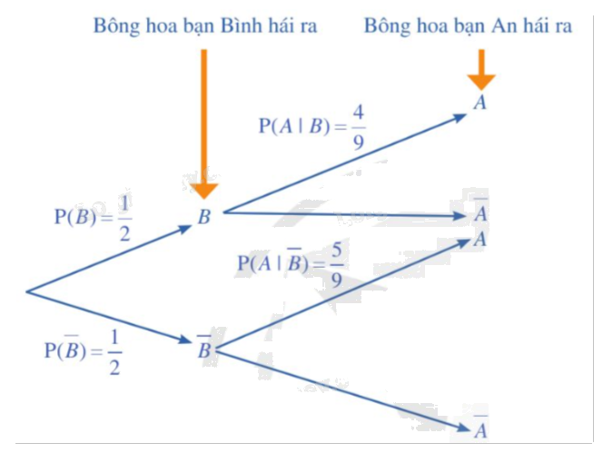 Lý thuyết Công thức xác suất toàn phần. Công thức Bayes Toán 12 Cánh Diều 1