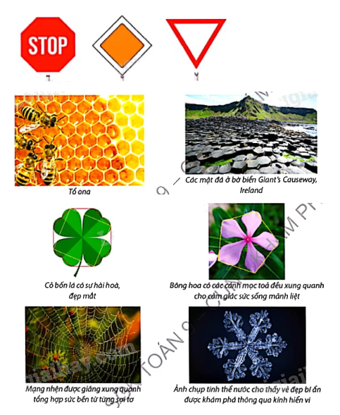 Lý thuyết Đa giác đều Toán 9 Cùng khám phá 3