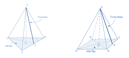 Lý thuyết Diện tích xung quanh của hình chóp tam giác đều - hình chóp tứ giác đều SGK Toán 8 - Cùng khám phá 1