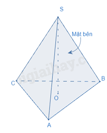Lý thuyết Diện tích xung quanh và thể tích của hình chóp tam giác đều, hình chóp tứ giác đều SGK Toán 8 - Chân trời sáng tạo 1
