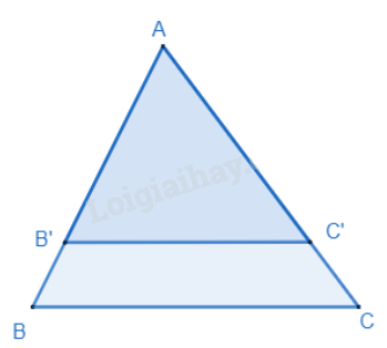 Lý thuyết Định lí Thalès trong tam giác SGK Toán 8 - Kết nối tri thức 2