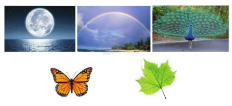 Lý thuyết Đối xứng trong thực tiễn Toán 6 Cánh diều 1