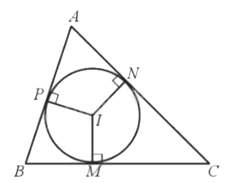 Lý thuyết Đường tròn ngoại tiếp tam giác, đường tròn nội tiếp tam giác Toán 9 Chân trời sáng tạo 8