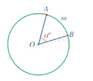 Lý thuyết Góc ở tâm, góc nội tiếp Toán 9 Cánh diều 3