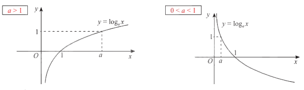 Lý thuyết Hàm số mũ. Hàm số lôgarit - Toán 11 Chân trời sáng tạo 2