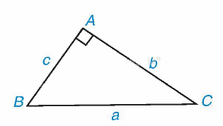 Lý thuyết Hệ thức giữa cạnh và góc của tam giác vuông Toán 9 Chân trời sáng tạo 2