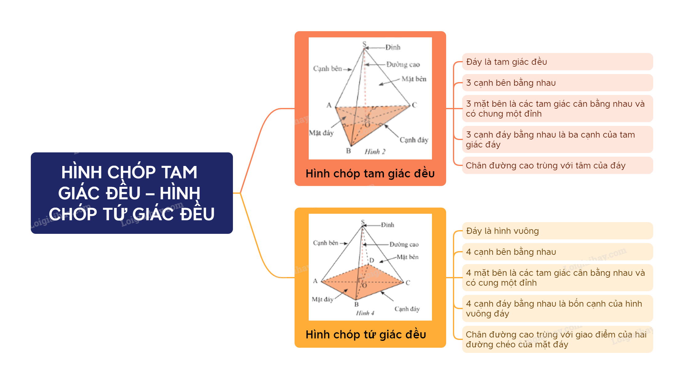 Lý thuyết Hình chóp tam giác đều – hình chóp tứ giác đều SGK Toán 8 - Chân trời sáng tạo 3